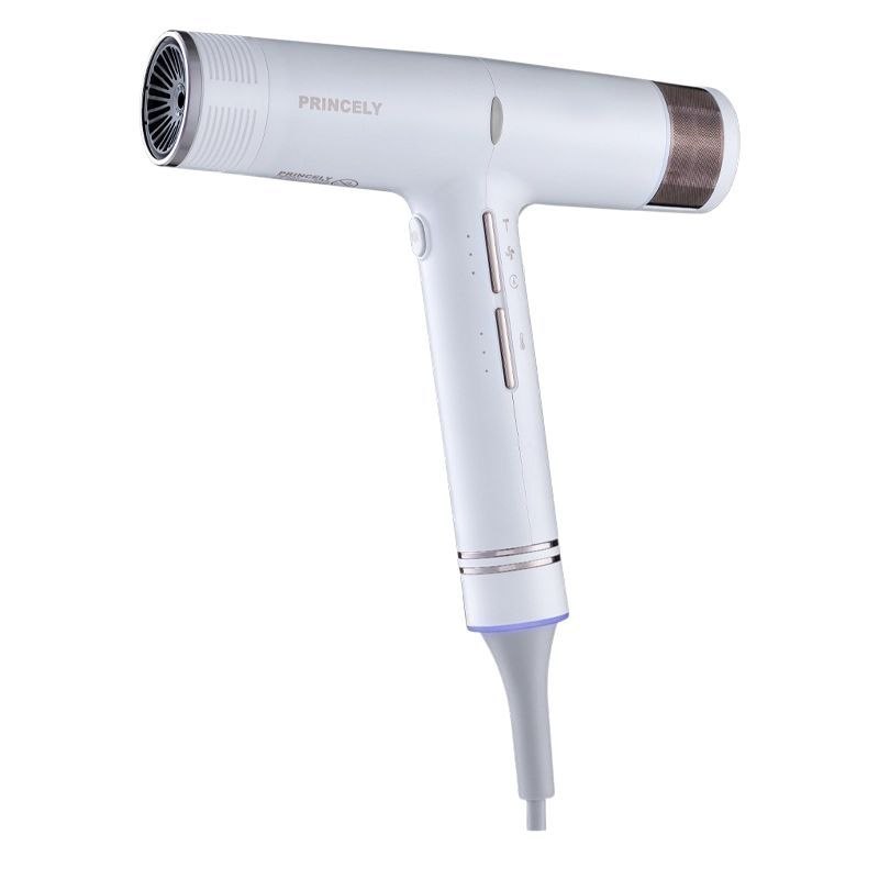 سشوار حرفه‌ای پرنسلی PR282AT